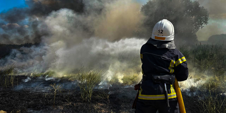 За добу на Миколаївщині вигоріло понад 39 га відкритих територій (ФОТО)