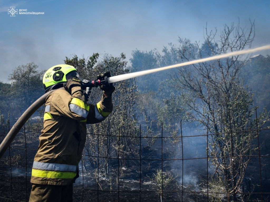 Під Миколаєвом загасили велику пожежу: вигоріло 40 га, вогнеборці буквально відбили дачні будинки у вогню (ФОТО) 4