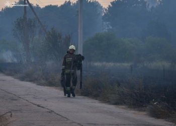 Пожежу біля Балабанівського урочища загасили – на 5 га (ФОТО)