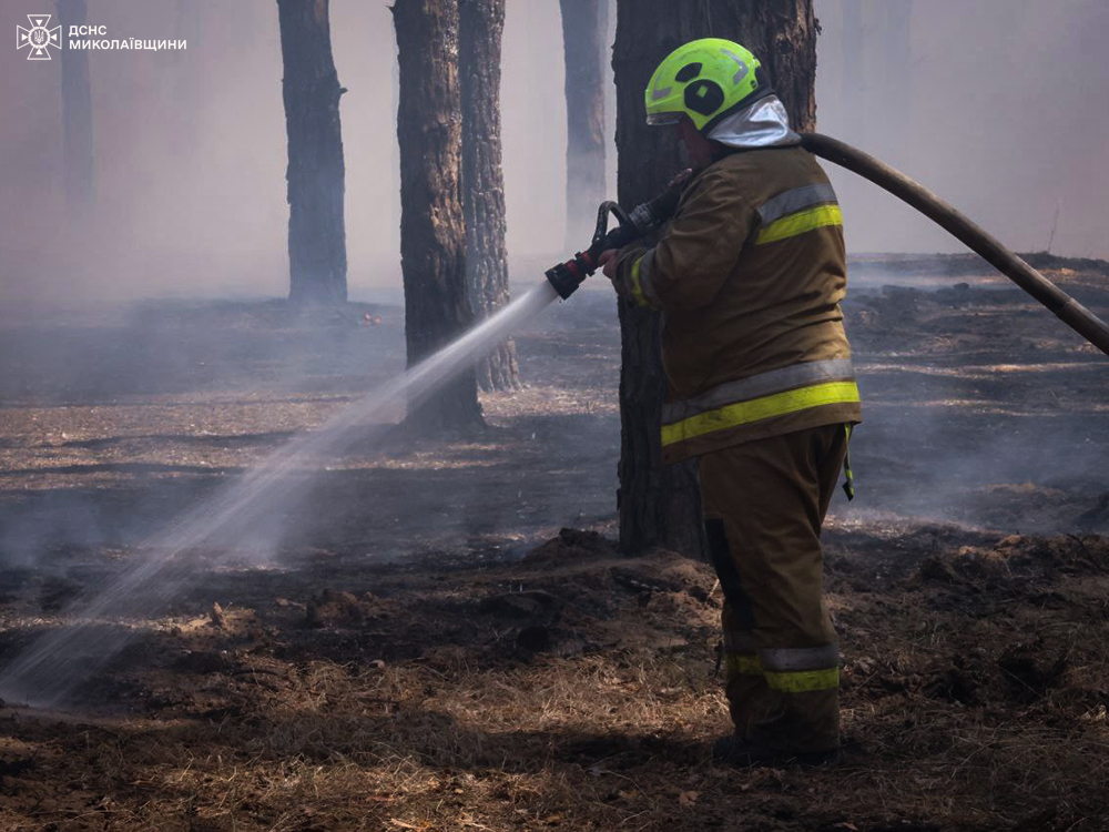 Майже дві години гасили пожежу лісу під Миколаєвом – хвойна підстилка горіла на площі 4 га (ФОТО) 4