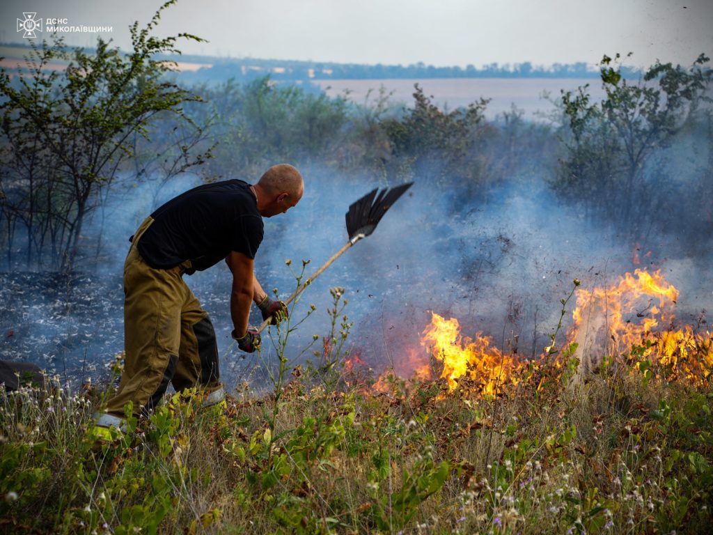 Під Миколаєвом горіло на 20 га, і не тільки там (ФОТО) 4