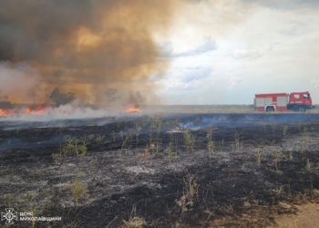 За добу на Миколаївщині вигоріло 10 га відкритих територій (ФОТО)
