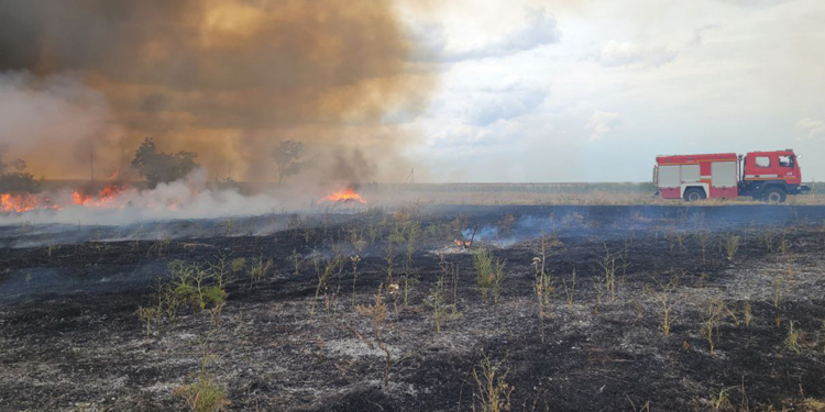 За добу на Миколаївщині вигоріло 10 га відкритих територій (ФОТО)