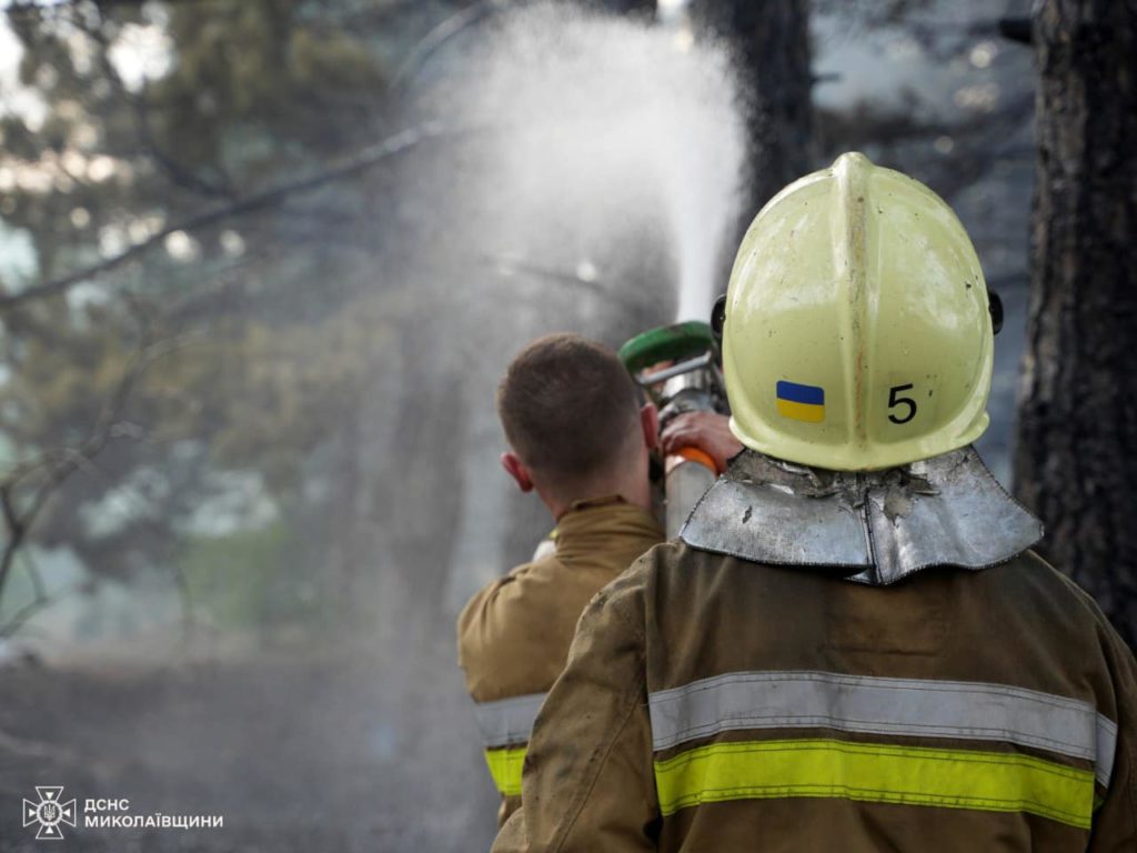 У Миколаєві за день двічі горів сухостій, а також лісові насадження (ФОТО) 4