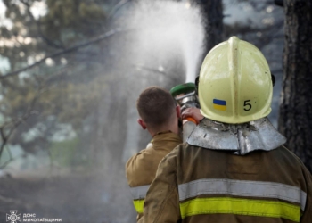 У Миколаєві за день двічі горів сухостій, а також лісові насадження (ФОТО)