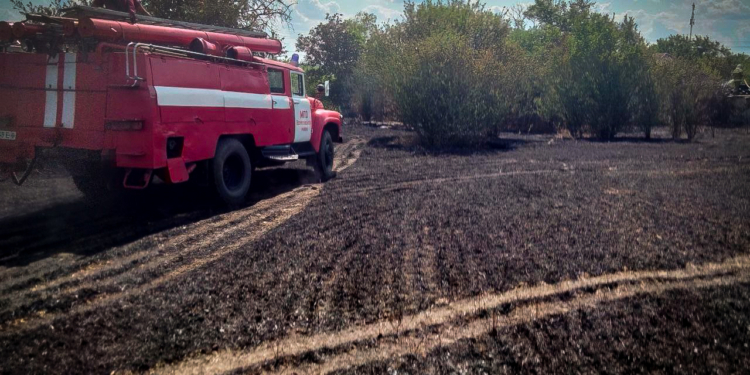 За добу на відкритих територіях Миколаївщини вигоріло понад 20 га (ФОТО)