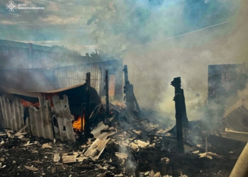 У Новому Бузі вогонь з трави перекинувся на подвір’я – постраждала літня жінка (ФОТО)