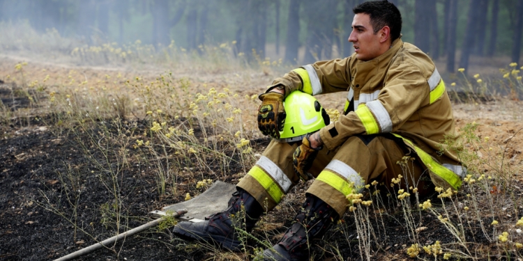 Під Миколаєвом пожежа ледь не перекинулась на Матвіївське урочище (ФОТО, ВІДЕО)