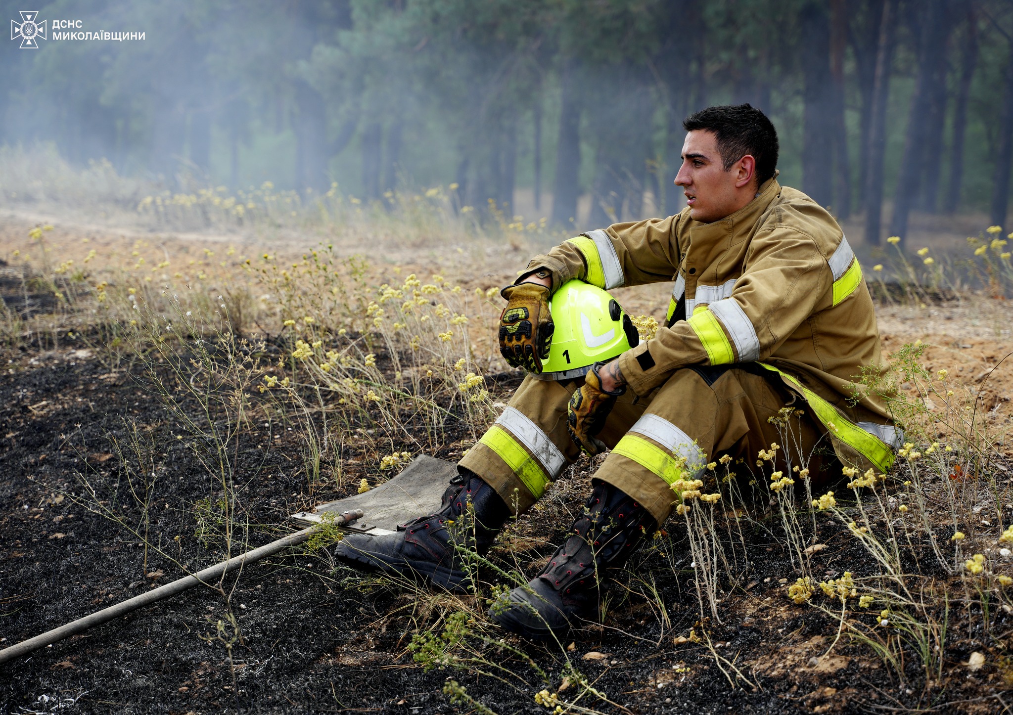 Під Миколаєвом пожежа ледь не перекинулась на Матвіївське урочище (ФОТО, ВІДЕО)
