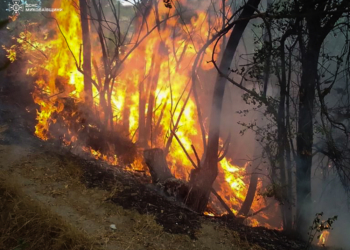 На Миколаївщині за добу виникло дві пожежі на транспорті та вигоріло понад 40 га відкритих територій (ФОТО)