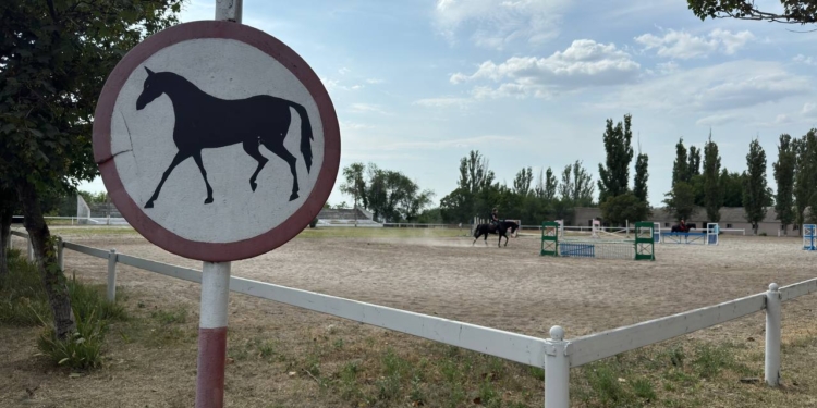 Філія «Південний племконецентр» ДП «Конярство України» на Миколаївщині цього року продала коней на 770 тис.грн.