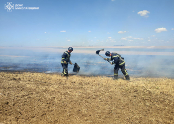 За вчора на Миколаївщині вогнеборці 31 раз виїжджали на гасіння пожеж – на одній з них постраждав літній чоловік (ФОТО)