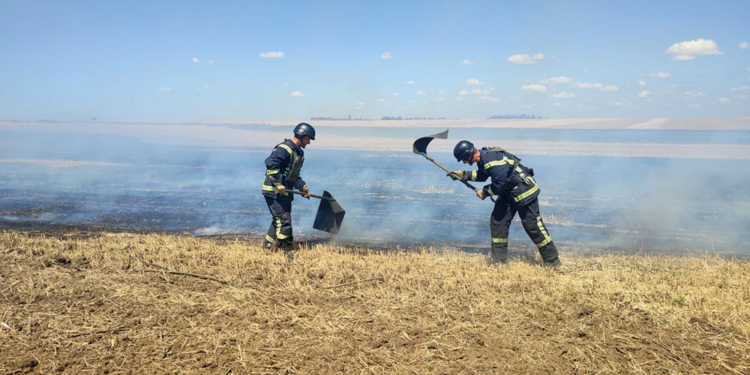 За вчора на Миколаївщині вогнеборці 31 раз виїжджали на гасіння пожеж – на одній з них постраждав літній чоловік (ФОТО)