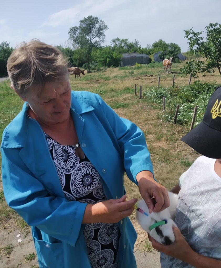 За тиждень у Миколаївській області від сказу щепили понад 7,2 тис. собак та котів (ФОТО) 6