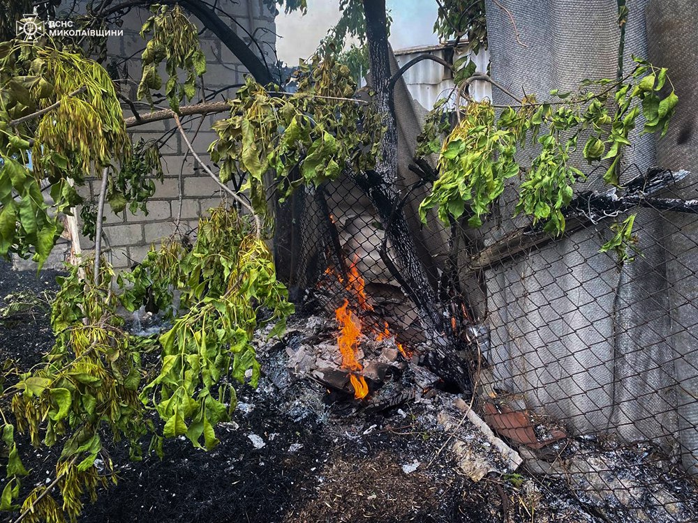 У Новому Бузі вогонь з трави перекинувся на подвір'я - постраждала літня жінка (ФОТО) 6