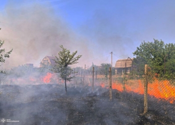 Під Миколаєвом знову горить – вогонь підступає до дач (ФОТО)