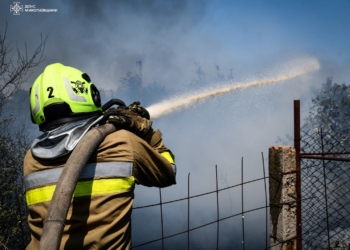 Під Миколаєвом загасили велику пожежу: вигоріло 40 га, вогнеборці буквально відбили дачні будинки у вогню (ФОТО)