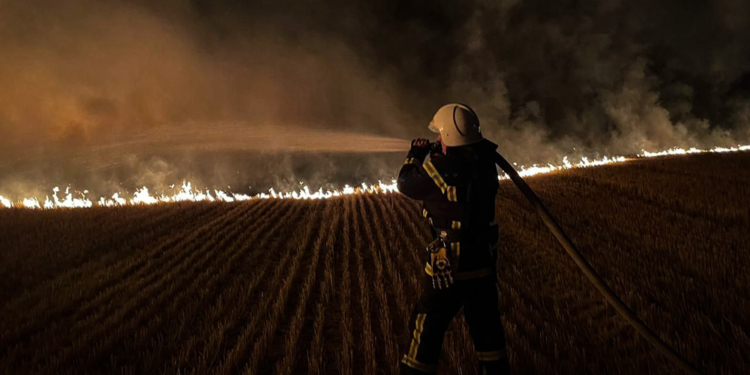 За добу на Миколаївщині було 48 пожеж – вигоріло 87 га (ФОТО)