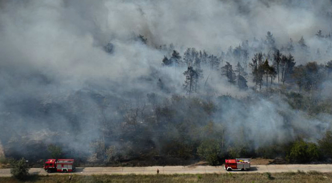 У Балабанівському урочищі поблизу Миколаєва вогнеборці гасять пожежу хвойного настилу на площі 3 га (ФОТО)