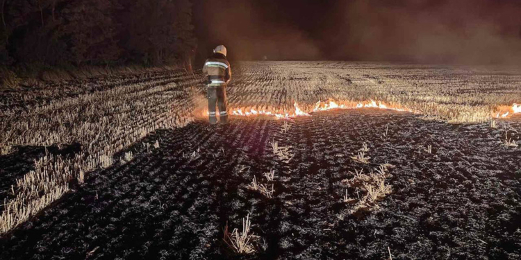 Миколаївщина у вогні: минулої доби виникло 37 пожеж, в більшості випадків горів сухостій (ФОТО)