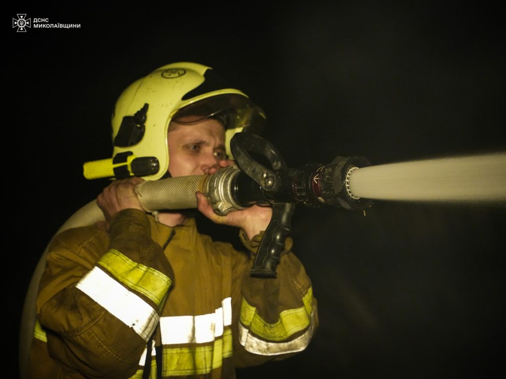 У Миколаєві масштабна пожежа сухостою ледь не призвела до займання житлових будинків (ФОТО) 8