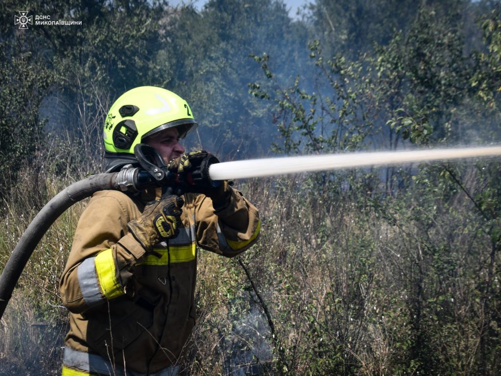 Під Миколаєвом загасили велику пожежу: вигоріло 40 га, вогнеборці буквально відбили дачні будинки у вогню (ФОТО) 8