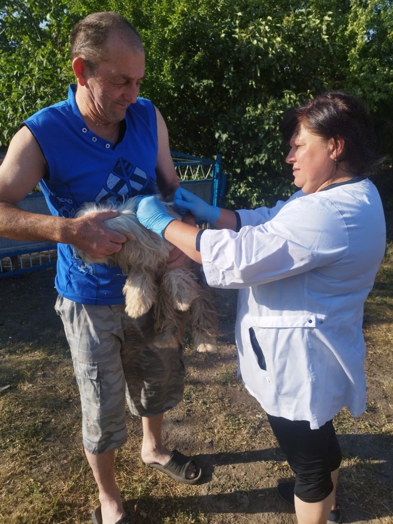 За тиждень у Миколаївській області від сказу щепили понад 7,2 тис. собак та котів (ФОТО) 8