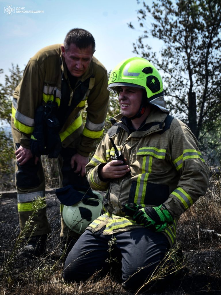 Під Миколаєвом загасили велику пожежу: вигоріло 40 га, вогнеборці буквально відбили дачні будинки у вогню (ФОТО) 10