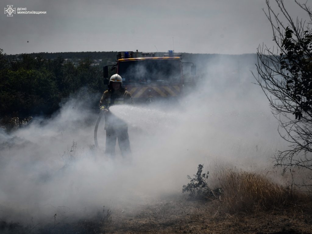 Під Миколаєвом загасили велику пожежу: вигоріло 40 га, вогнеборці буквально відбили дачні будинки у вогню (ФОТО) 12