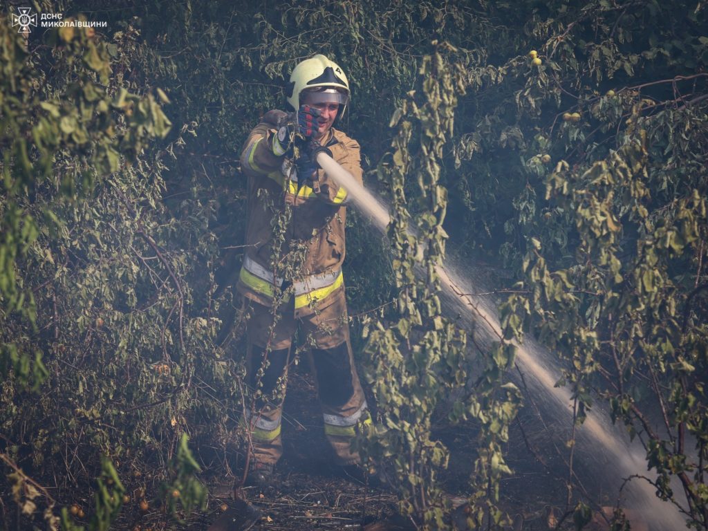 Миколаївщина у вогні: минулої доби виникло 37 пожеж, в більшості випадків горів сухостій (ФОТО) 12