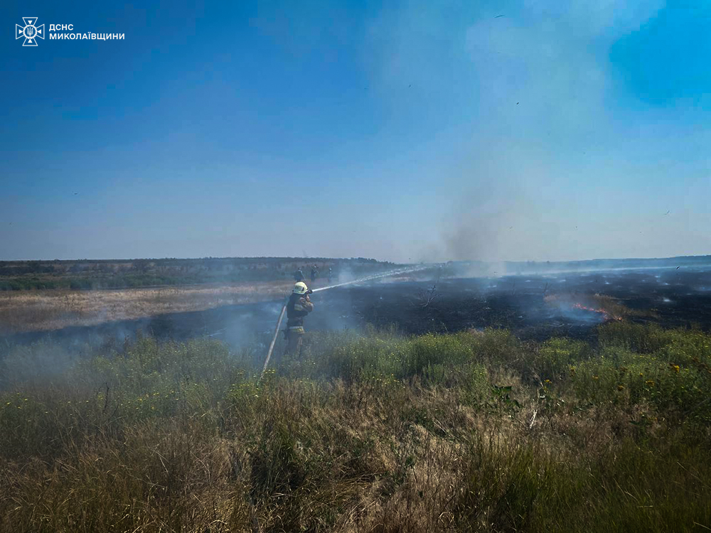 На Миколаївщині за добу було 49 пожеж: вигоріло маже 100 га, на пожежах постраждало 3 людини (ФОТО) 11