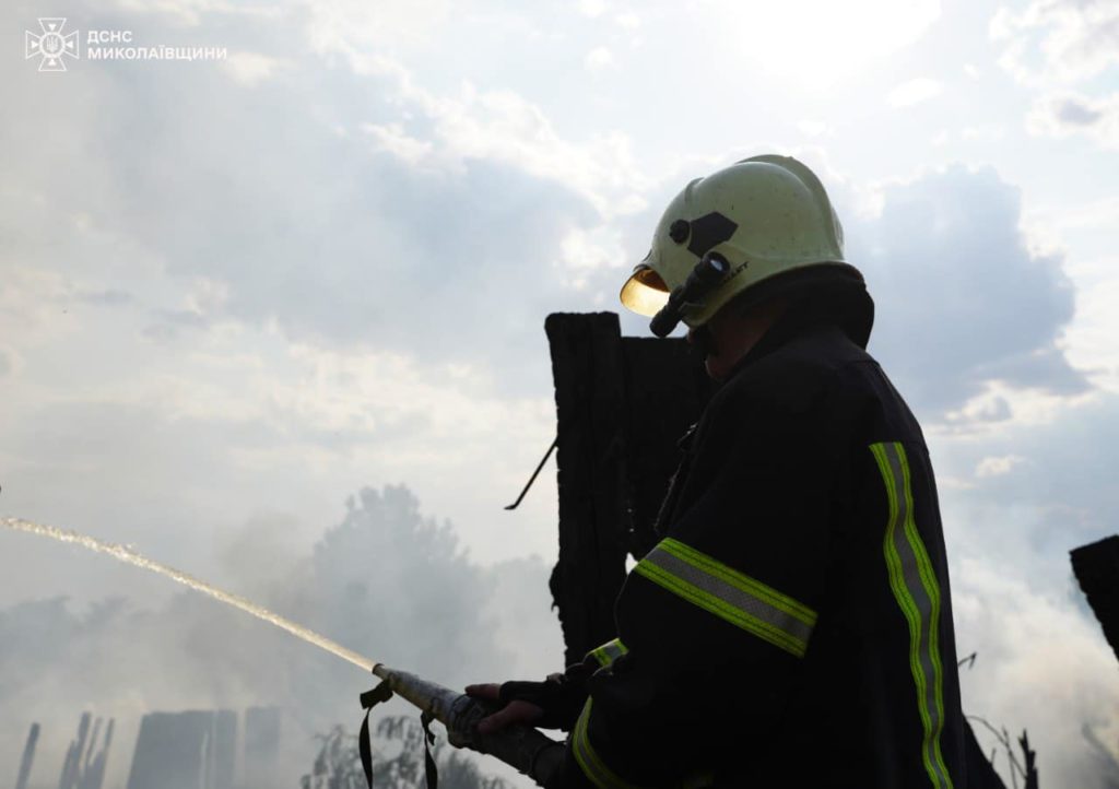 У Миколаєві за день двічі горів сухостій, а також лісові насадження (ФОТО) 12