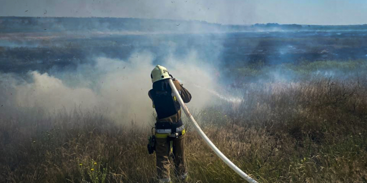 На Миколаївщині за добу було 49 пожеж: вигоріло маже 100 га, на пожежах постраждало 3 людини (ФОТО)