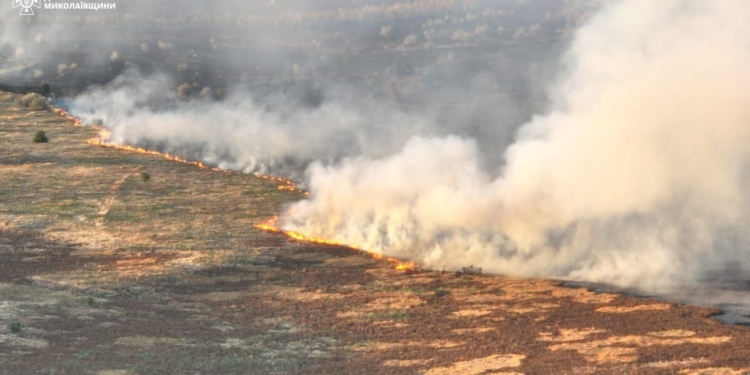 У Миколаєві вирує масштабна пожежа на відкритій території – орієнтовно горить 30 га, але загрози житловому сектору немає (ФОТО)