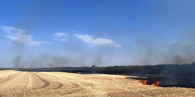 На Миколаївщині тільки за вчора вогонь знищив понад 50 га відкритих територій, з яких 28 га сільгоспугідь (ФОТО)