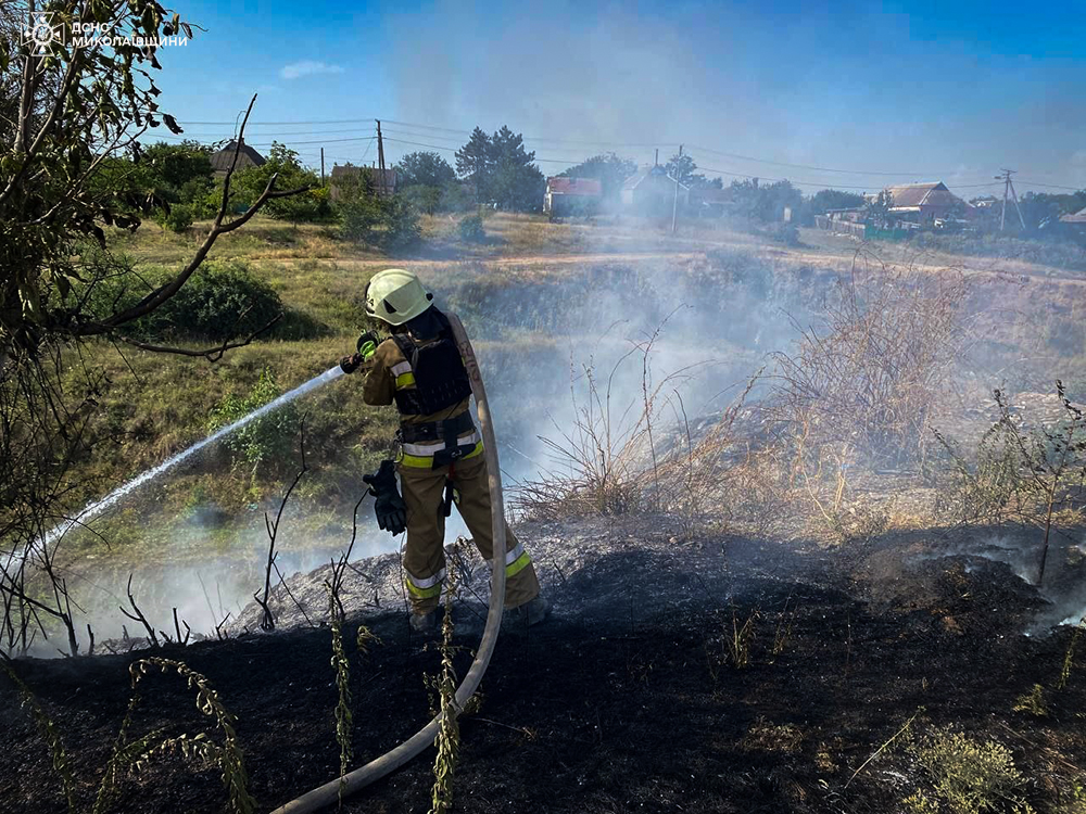 За добу на Миколаївщині вигоріло понад 70 га відкритих територій, зокрема – 2 га пшениці на корені (ФОТО) 14