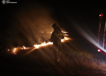 Миколаївщина палає: за добу – 39 пожеж, вигоріло понад 36 га, у Миколаєві є один загиблий і один постраждалий (ФОТО)