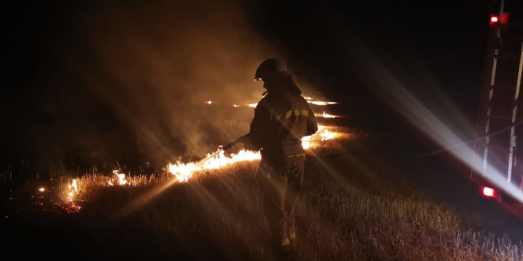 Миколаївщина палає: за добу – 39 пожеж, вигоріло понад 36 га, у Миколаєві є один загиблий і один постраждалий (ФОТО)