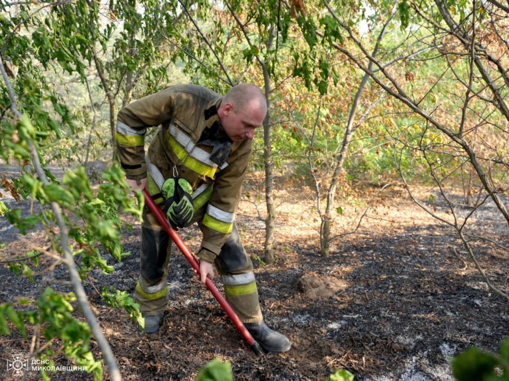 У Миколаєві за день двічі горів сухостій, а також лісові насадження (ФОТО) 16