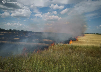 За добу на Миколаївщині вигоріло понад 70 га відкритих територій, зокрема – 2 га пшениці на корені (ФОТО)