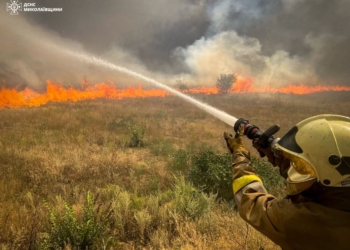 За добу на Миколаївщині вигоріло 90 га відкритих територій, з яких половина – у Миколаєві (ФОТО)