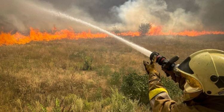 За добу на Миколаївщині вигоріло 90 га відкритих територій, з яких половина – у Миколаєві (ФОТО)
