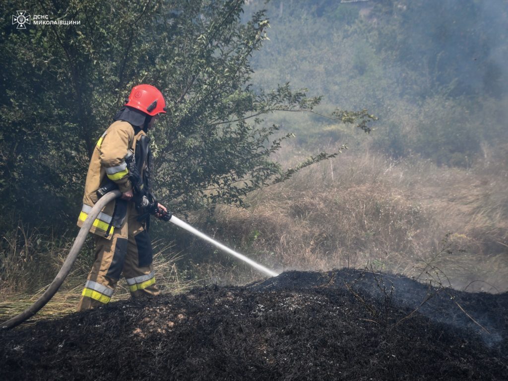 Під Миколаєвом загасили велику пожежу: вигоріло 40 га, вогнеборці буквально відбили дачні будинки у вогню (ФОТО) 18