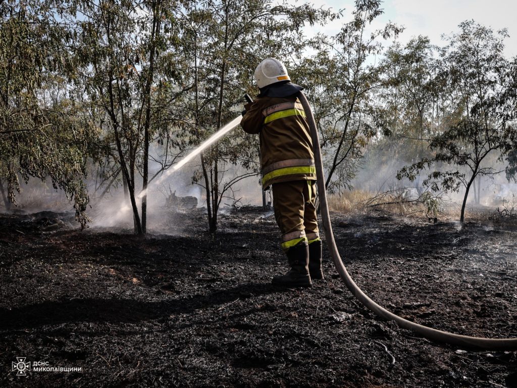 Миколаївщина у вогні: минулої доби виникло 37 пожеж, в більшості випадків горів сухостій (ФОТО) 18