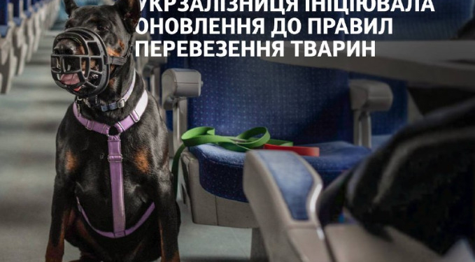 Укрзалізниця оновлює правила перевезення тварин. Що пропонують