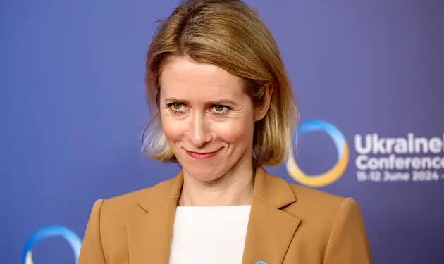 Уряд Естонії подав у відставку