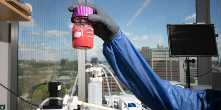 Пентагон інвестує захмарну суму у розробку замінника крові