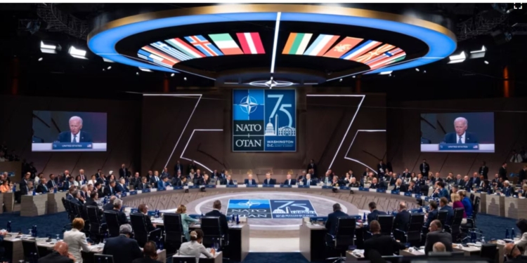 Міжнародні експерти сперечаються – брати Україну в НАТО чи миритись з Путіним “поки не пізно”