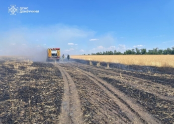 Ворог підпалює українські поля дронами, щоб знищити урожай