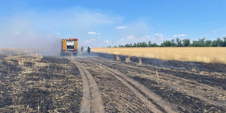 Ворог підпалює українські поля дронами, щоб знищити урожай